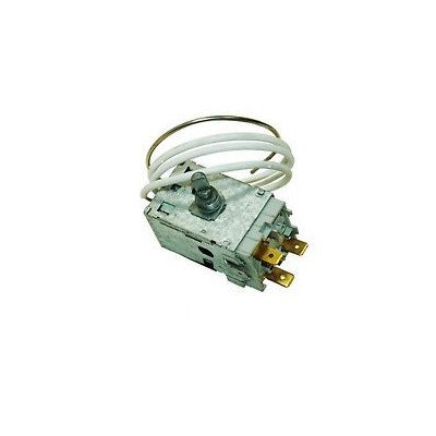 Termostat A130174/K59L1206 (C00038960) 482000022609
