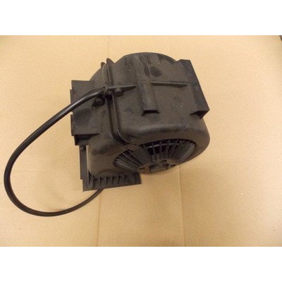 Zespół silnika (1019974)