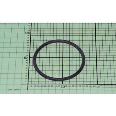 Uszczelka jednostki regeneracyjnej (1007505)