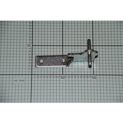 Zawias środkowy (1033954)