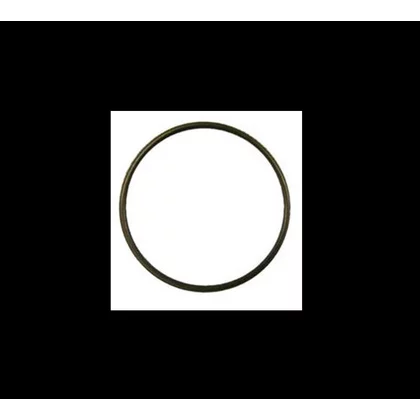 Uszczelka O-RING do ekspresu do kawy Saeco / Philips 19 x 1 mm 140328461 996530013571