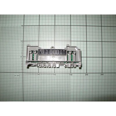 Zespół wyświetlacza (1021705)