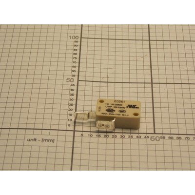 Mikroprzełącznik (1017100)