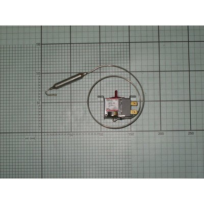 Termostat (1033256)