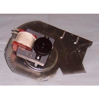 Zespół silnika wentylatora (1007650)