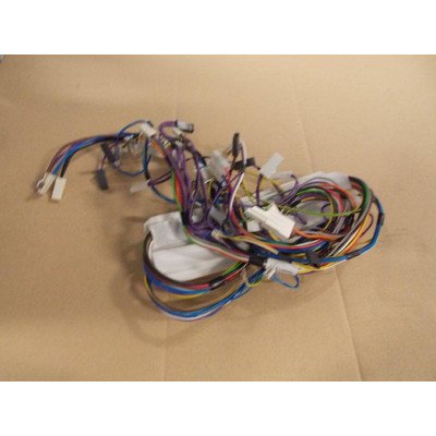 Wiązka przewodów (1012434)