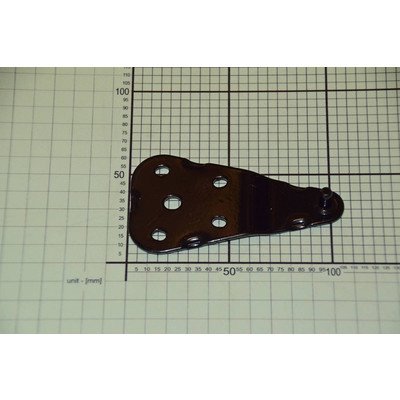 Zawias górny drzwi chłodziarko-zamrażarki Amica (1039391)