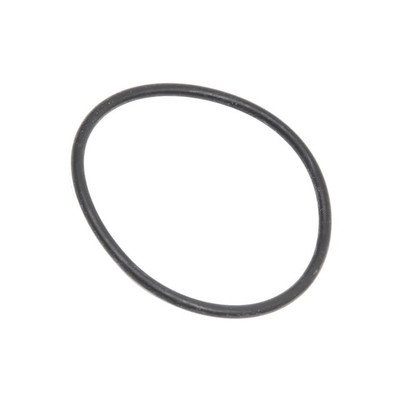 Przednia uszczelka pompy zmywarki (1520292101)