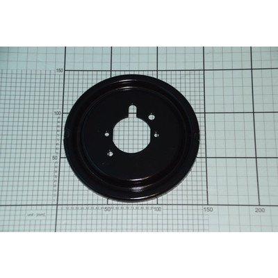 Podzespół nakładki palnika (1034248)