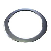 Pierścień zewnętrzny drzwi pralki Amica inox 8019835