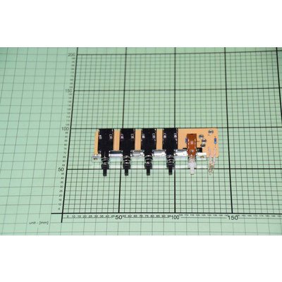 Płytka włącznika (1007310)