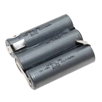 Zestaw akumulatorów do odkurzacza Electrolux / AEG 4055019840