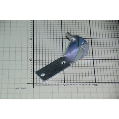 Zawias dolny (1031121)