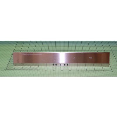 Panel przedni (1008868)