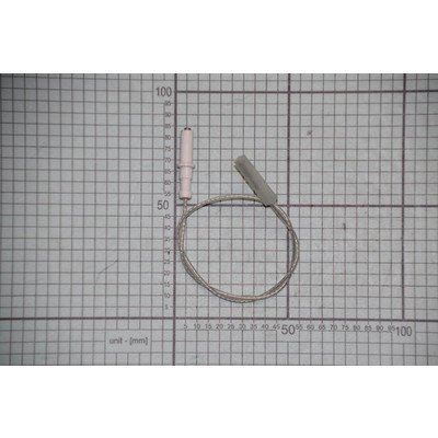 Iskrownik zapalacza EE2500F/300 do BSI (8045064)