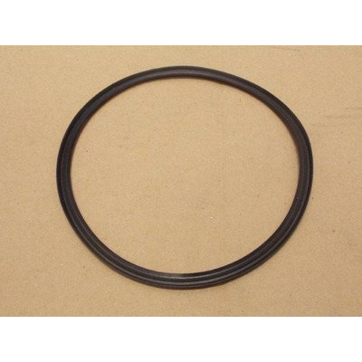 Uszczelka zbiornika (1070054)