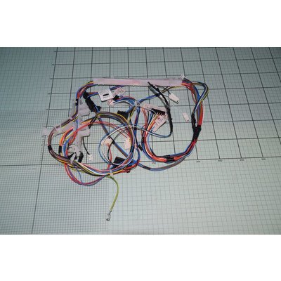 Elektronika pralek Amica Wiązka przewodów do pralki Amica (1035849)