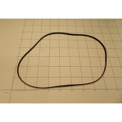 Pasek wieloklinowy (1032815)