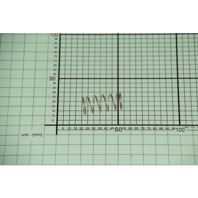 Sprężyna przycisku (1014105)