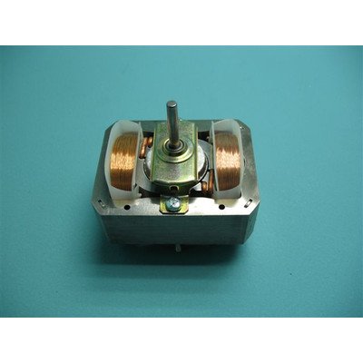 Silnik dmuchawy (1002138)