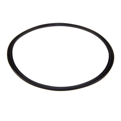 Uszczelka korpusu filtra (148417)