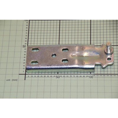 Zawias dolny (1036289)