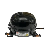 GN163130ZGB BEKO Sprężarka inwerterowa do lodówki Beko / Grundig / Arcelik VNTZ165MT 220 V 5256900011