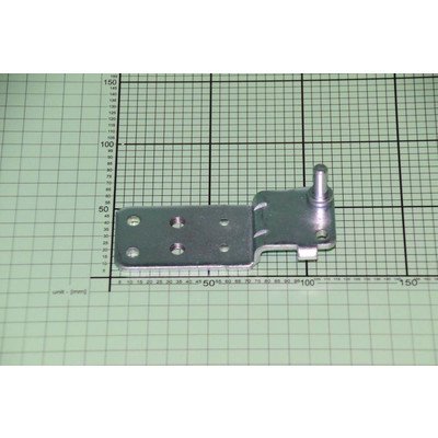 Zawias dolny (1019888)