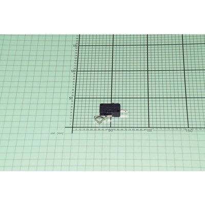 Mikrowłącznik (1033083)