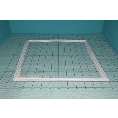 Uszczelka drzwi (1016363)