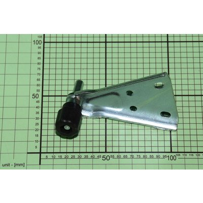 1044804 Zawias dolny AMICA