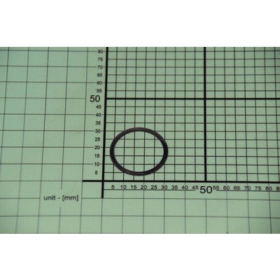 O-ring (1007552)