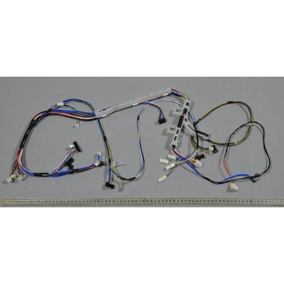 AWG814DJi (AWG8143CDi) Wiązka do pralki Amica (1037472)