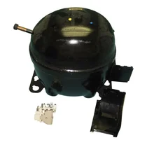 Kompresor do zamrażarki Amica TSB 1345 MJS Brazylia 8045387