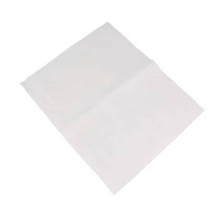 Filtr wewnętrzny do odkurzacza Amica Maxis 1013335