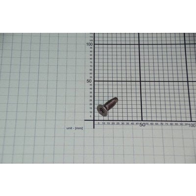 Śruba bębna SAMOGWINT 8x1,25 INOX TORX (8026117)
