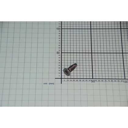 Śruba samogwintująca bębna i krzyżaka do pralki Amica M8 x 1,25 ze stali nierdzewnej Torx 8026117