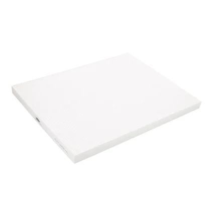 Filtry oczyszczaczy powietrza Filtr powietrza HEPA do oczyszczacza powietrza Electrolux / AEG 322 x 416 x 25 mm