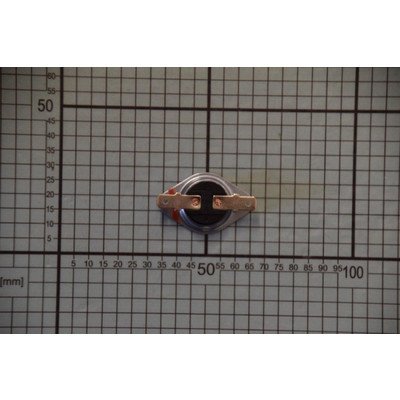 Termostat 160/95 (1034166)