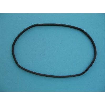 1070563 Uszczelka komory worka AMICA