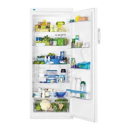 Chłodziarka wolnostojąca Zanussi ZRA33100WA 320 l biała A+