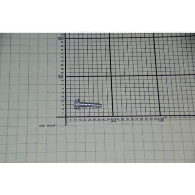 Wkręt wanny Amica 6x25 ocynkowany PA5.01.02.002 (8010616)