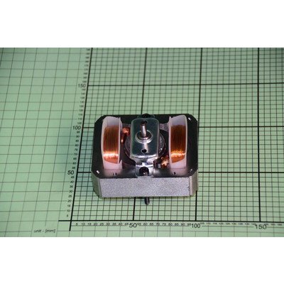 Silnik dmuchawy (1007244)