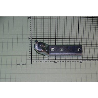 Zawias dolny (1021852)