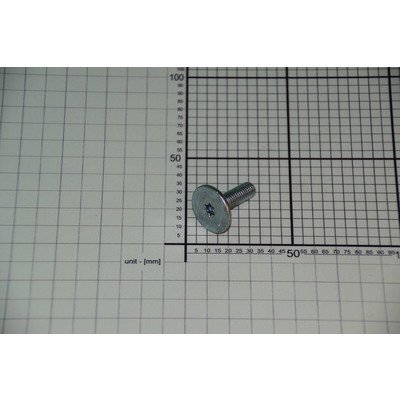 Śruba do pralki Amica 1032062