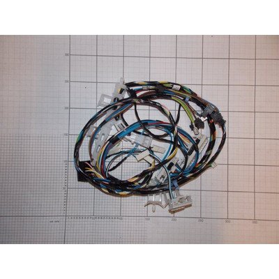 Zespół wiązki (1024409)