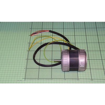 Silnik dmuchawy (1004882)