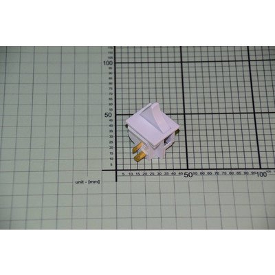 Wyłączn.ośw.2pin do chłodziarko-zamrażarki Amica (1022080)