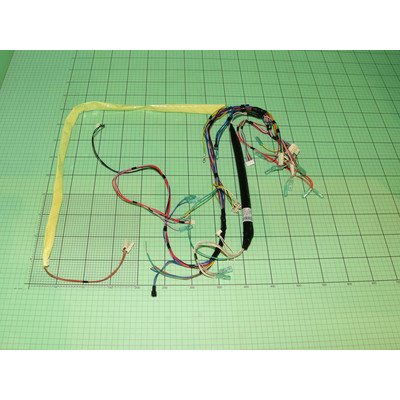 Główna wiązka przewodów