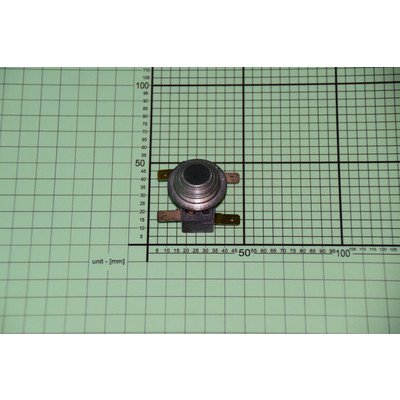 Termostat zabezpieczający (1003002)